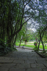 Park 