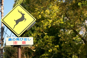Nara,Japan-February 21, 2020: Road sign of Beware of Deers at Nara Park