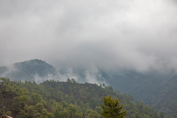 Nebel im Troodos-Gebirge, Zypern