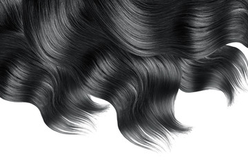 Black hair on white, isolated