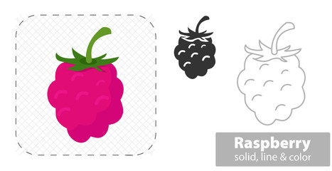 Red raspberries vector illustration flat, solid, line icon