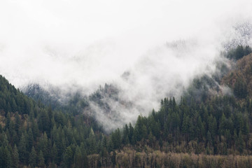 Snow capped mountain range with forest in the fog