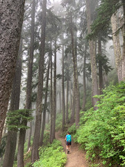 determined female hiking on foggy forest trail