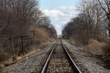 Fototapeta premium Disappearing Railroad Tracks
