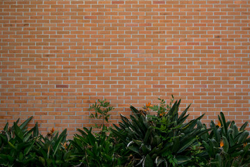 brick wall with plants