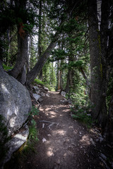 Trail Through Boulders and Trees