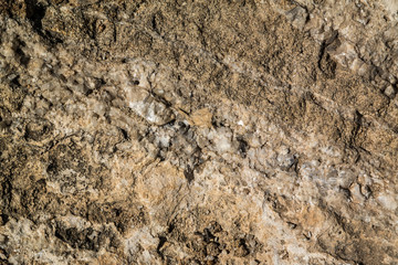 texture of stone