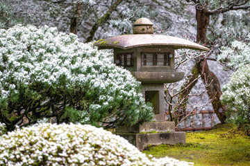 Fototapeta na wymiar Winter in Portland Japanese Garden