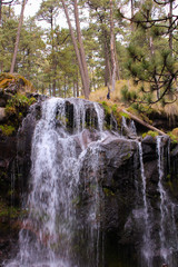 Cascada en el bosque