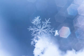 雪の結晶