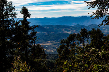 Santuario de la mariposa monarca