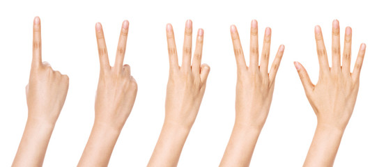 A set, group of hand gesture(number) isolated on white.