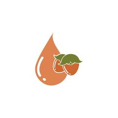 jojoba nuts oil  vector illustration design