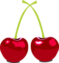 vector illustration of two cherries on white background