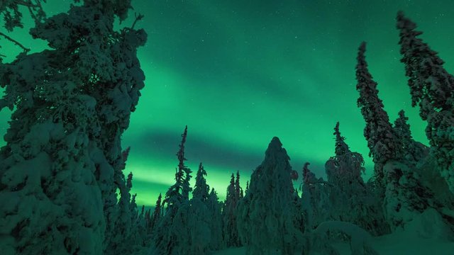 Northern lights over frozen woodland in Sweden