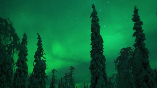 Aurora borealis over frozen woodland in Sweden