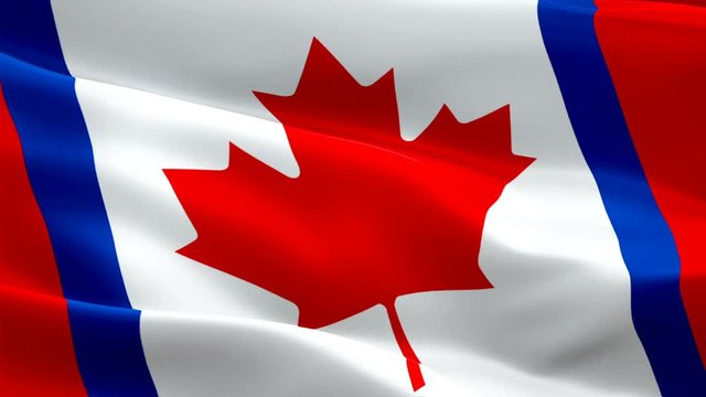 Canada Duality flag Motion Loop video waving in wind. Realistic Canadian Unity Flag background. Canadian Duality Flag Looping Closeup 1080p Full HD footage. Canadian Duality Quebec referendum flags fo