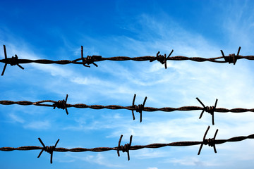 close up barbed wire fence over sunny blue sky