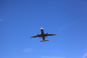 飛行機