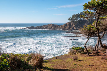 The Oregon Coast near Newport