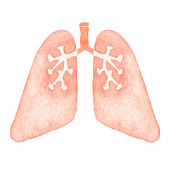 肺　人体 臓器 内臓 水彩 イラスト