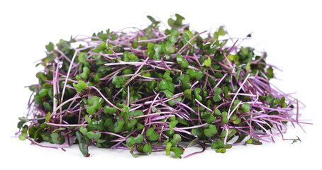 Micro greens cabbage