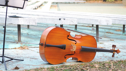 violin on a black background
