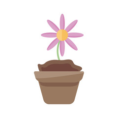 beautiful flower in a pot icon, flat detail style