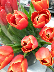 Bright bouquet of tulips with green leaves.