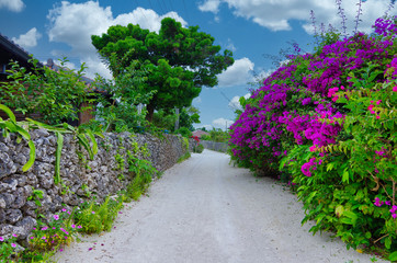 Fototapeta na wymiar Path in Taketomi island, Okinawa