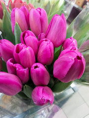 Bright bouquet of tulips with green leaves.