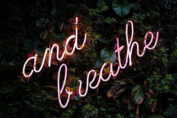 señal neon