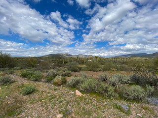 Fototapeta premium Blue sky cloud pattern desert