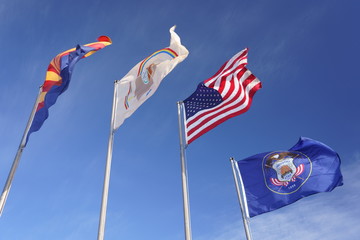 アメリカの国旗 / American flag