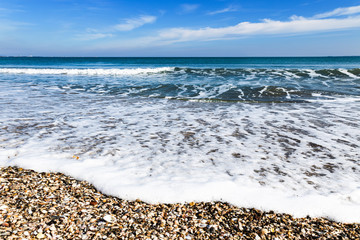 Landscape view of Black sea coast, wave reach sand shore with broken mussels. 