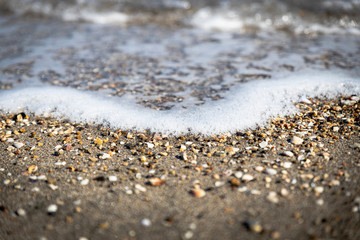 Landscape view of Black sea coast, wave reach sand shore with broken mussels. 