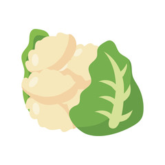 Fototapeta premium cauliflower icon, flat detail style