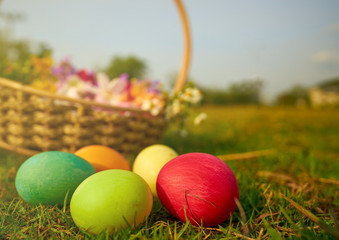 Easter eggs in the lawn with flowers