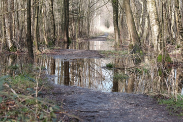Ein Wanderweg ist überschwemmt