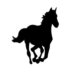 Black Horse on White Background