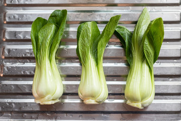 Choy Sum or Bok choy or chinese cabbage vegetable.