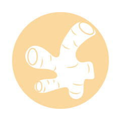 ginger vegetable icon, block style