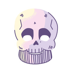 skull bones, body part on white background