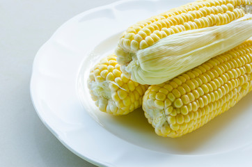 Fresh sweet corn on white plate, close up