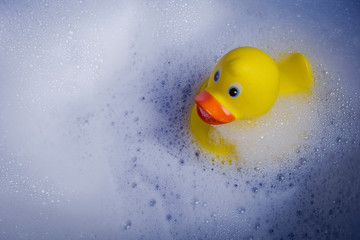 Yellow rubber duck
