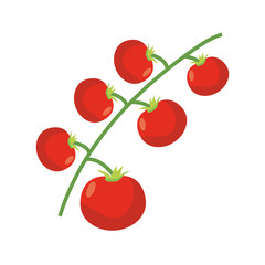 branch with tomatoes icon, flat detail style