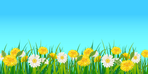 Spring template background with flowers dandelions and daisies, chamomiles, grass