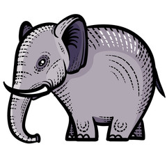 decorative elephant painted with patterns for logo, label, packaging, tattoo, isolated object on a white background,