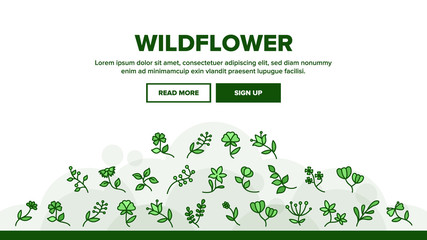 Wildflower Natural Landing Web Page Header Banner Template Vector. Wildflower Branch And Flower Bouquet, Blooming Nature Floral Botany Plant Illustration