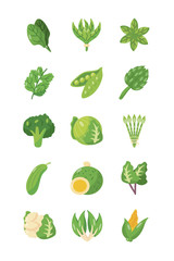 green healthy vegetables icon set, flat detail style